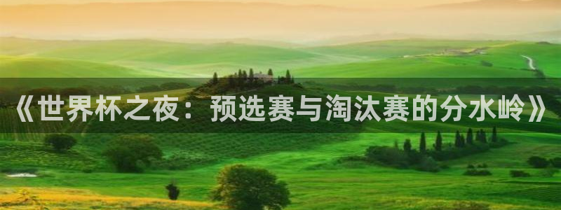 世界杯直播在线观看入口:《世界杯之夜:预选赛与淘汰赛的分水岭》