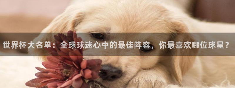 世界杯预选赛2026:世界杯大名单:全球球迷心中的最佳阵容,你最喜欢哪位球星?