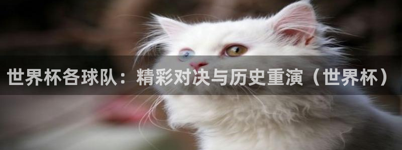 世界杯直播平台:世界杯各球队:精彩对决与历史重演(世界杯)