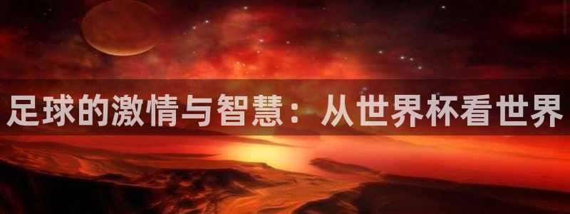 世界杯48支球队赛制:足球的激情与智慧:从世界杯看世界