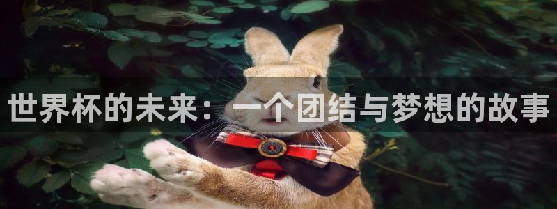 世界杯足球比赛:世界杯的未来:一个团结与梦想的故事