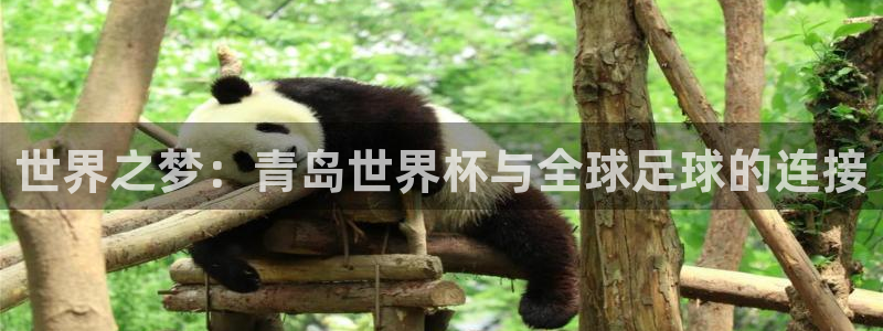 世界杯预选赛排名:世界之梦:青岛世界杯与全球足球的连接