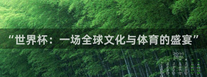 世界杯欧洲区赛程:“世界杯:一场全球文化与体育的盛宴”
